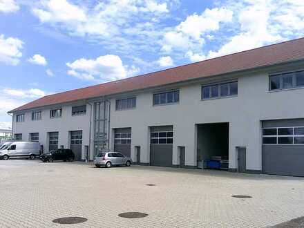 Ansprechende Bürofläche (Glasfaser) (ab 35m² ) in neu errichteter Gewerbehalle.