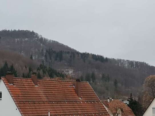 WOHNUNG (((( TOP WOHNUNG ))))
BEZUGSFERTIG EINZIEHEN UND WOHLFÜHLEN