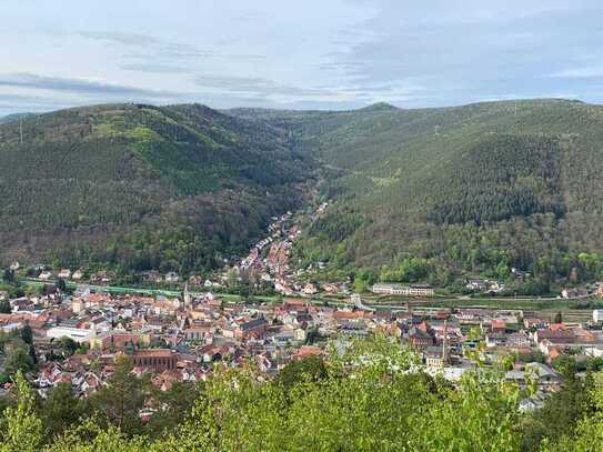 Schöne 2,5 Zi Whng mit Garage und Grünen Terrasse