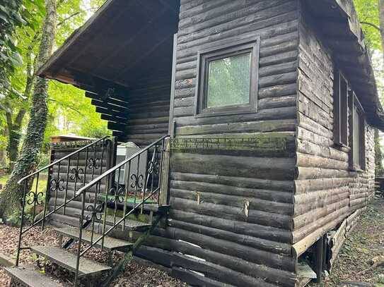 Wochenendhaus im Waldpark zu vermieten, in der Alte Reeser Straße 3, 46499 Mehrhoog Hamminkeln