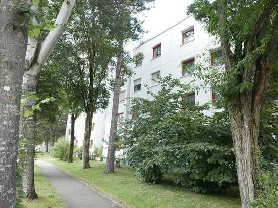 Lichtdurchflutete 3 Zimmer Wohnung über den Dächern von Großhadern