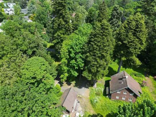 Einmaliges Parkgrundstück in Kronberg mit Baugenehmigung für Villa mit Einliegerwohnung