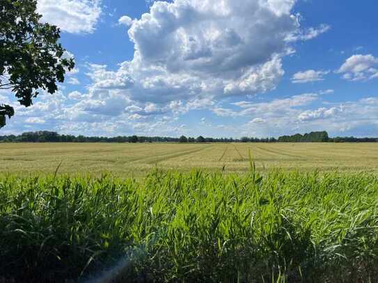 Besichtigung am 16.09.! Ein/Zweifamilienhaus am Rande des Spreewalds zum Sanieren!