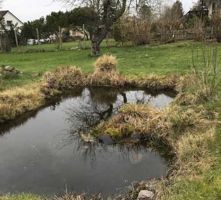 Attraktiv Wohnen im Grünen in Bosau mit großer Terrasse und EBK