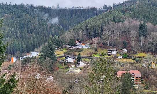 Geschmackvolle 1-Raum-Wohnung mit Balkon und EBK in Bad Wildbad