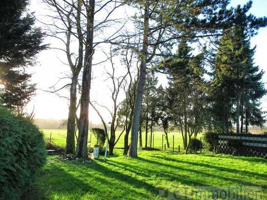 Wohnen am Feld im Bungalow