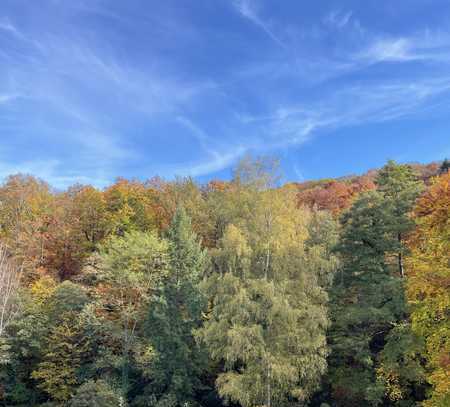 Schöne 2 Zimmer-Wohnung direkt am Wald!