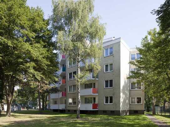 Frisch sanierte 2 Zimmer-Wohnung