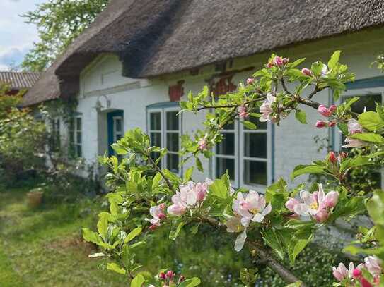 Charmantes Angeliter Landhaus unter Reet, malerisch zwischen Feldern gelegen