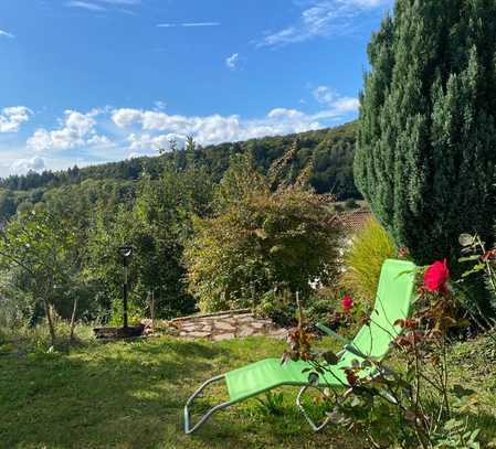 Gepflegte 2,5-Zimmer-Wohnung mit Terrasse und Garten in ruhiger Lage / Wiesenbach