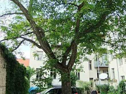 "Villa Viktoria": Helle City-Wohnung mit Garten-Terrasse (vermietet)