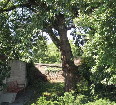 Apartment mit Küche, Waschmaschine,Trockner Terrasse