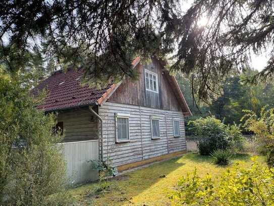 ehemaliges Forsthaus in (fast) Alleinlage, direkt im Wald - in Rüthnick