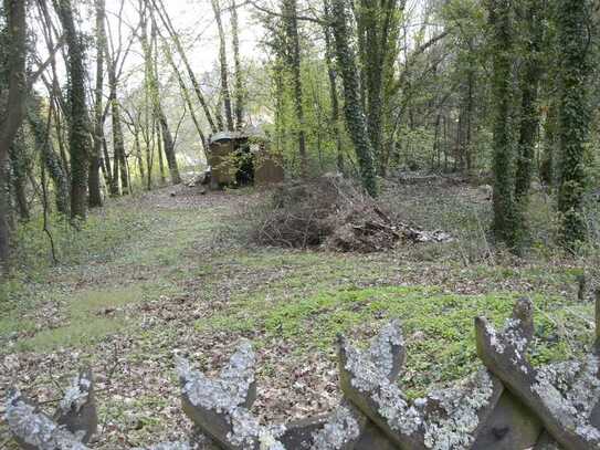 Baugrundstück - 4.000 m² - für Wohnbebauung + zusätzliches Wiesengrundstück -3.500 m²- in Dannenfels