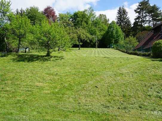 Großer Bauplatz in Walddorf!