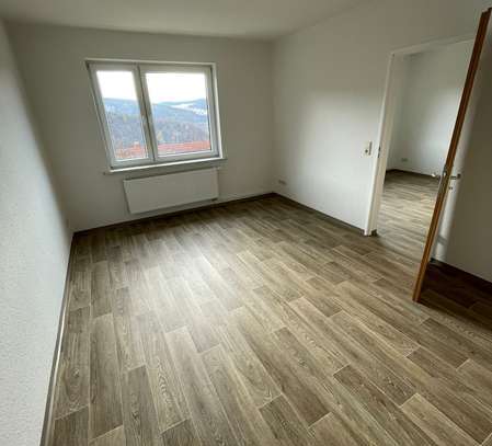 Frisch sanierte 4-Zimmer-Wohnung - Zeller Berg