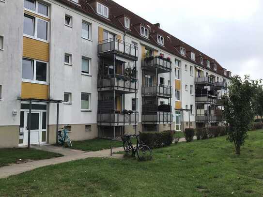 Komplett renovierte 2,5-Zimmer-Wohnung mit Balkon