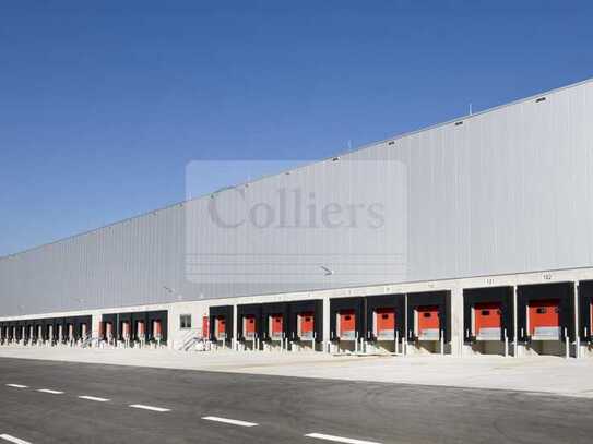 Euskirchen | 12 m UKB | Rampentore | 10.000 - 20.000 m²