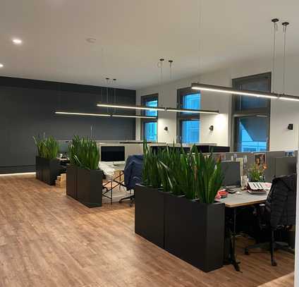 Workspace im Open Office oder abschließbarer Büroraum