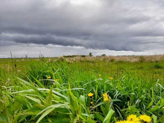 Baugrundstücke mit herrlichem Ausblick in die freie Natur in Drochtersen, Triftweg