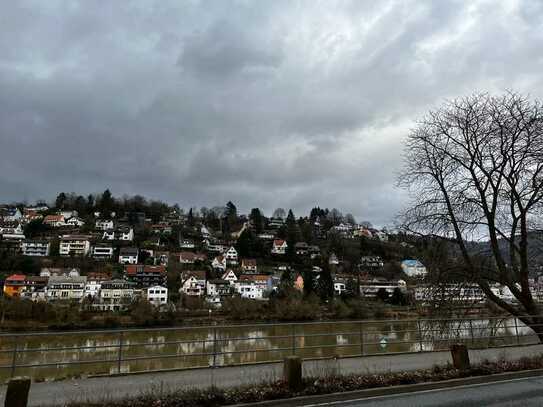 Mit Blick auf den Neckar! Möbliertes 2-Zimmer-Appartement in HD-Schlierbach