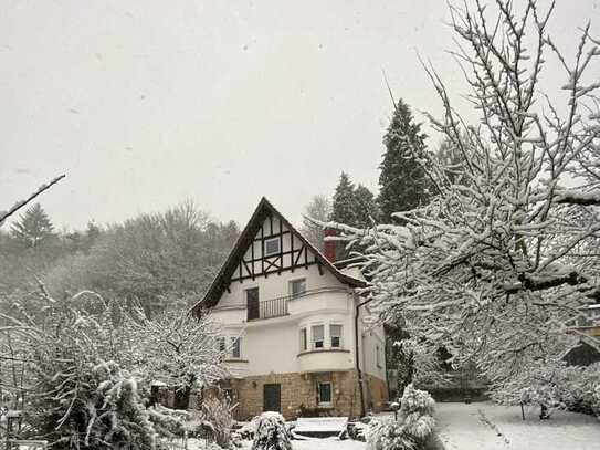 Stilvolles Einfamilienhaus in außergewöhnlicher, naturnaher Lage