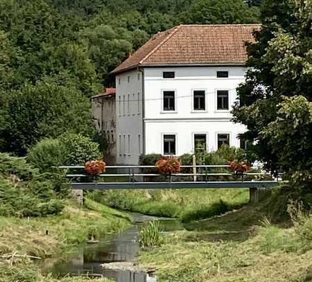 volls eingerichtete und top. renovierte 5-Z-Erdgesch-Wohnung mit geh. Innenausstattung