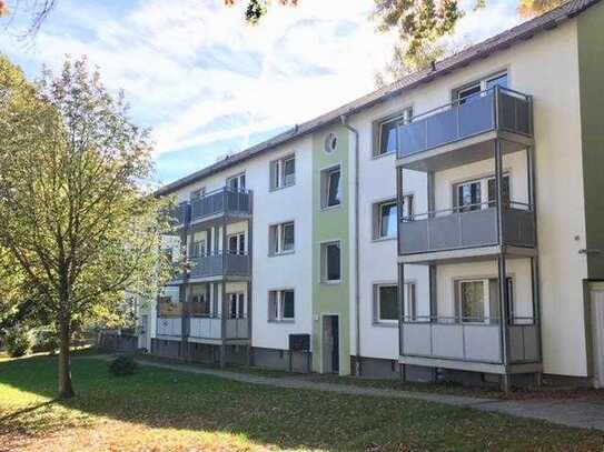 Frisch renovierte 2-Zi.-Whg. mit neuer Einbauküche und sonnigen Balkon