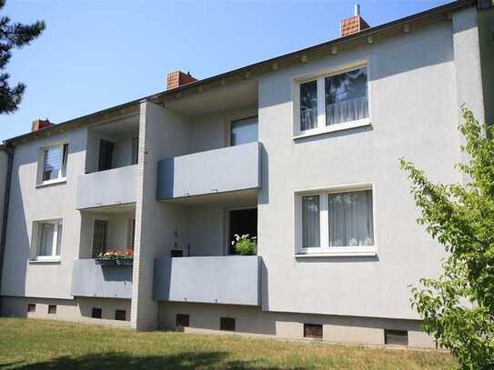 Lichtdurchflutete Wohnung am Rande des Stadtwalds