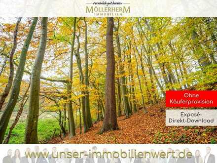 Waldfläche in Bad Schwartau - Holz/Energie, Umweltschutz, Sicherheit