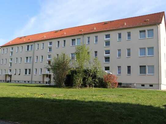 schöne helle 2 Raumwohnung in ruhiger Lage im Zittauer Gebirge (SO12)