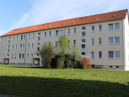 schöne helle 2 Raumwohnung in ruhiger Lage im Zittauer Gebirge (SO12)