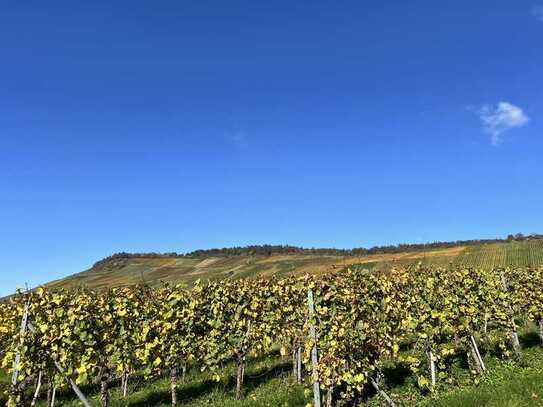 "Bauplatzjuwel mit traumhafter Aussicht: Exklusives Wohnen am Fuße der Großheppacher Weinberge – Nat