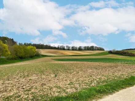 Landwirtschaftliches Objekt in Burgheim