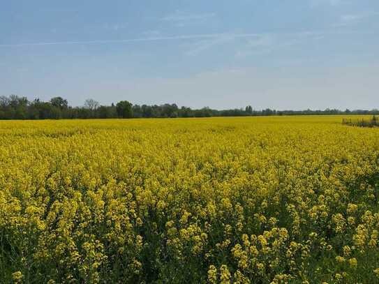 Sonniges Grundstück mit Weitblick in Nauen