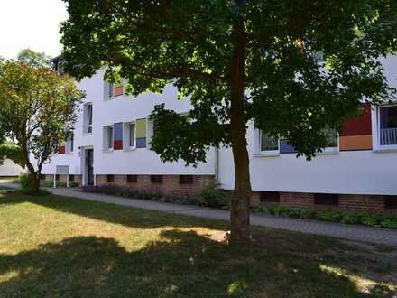 *** Preiswerte 3-Zimmerwohnung in Fallersleben ***