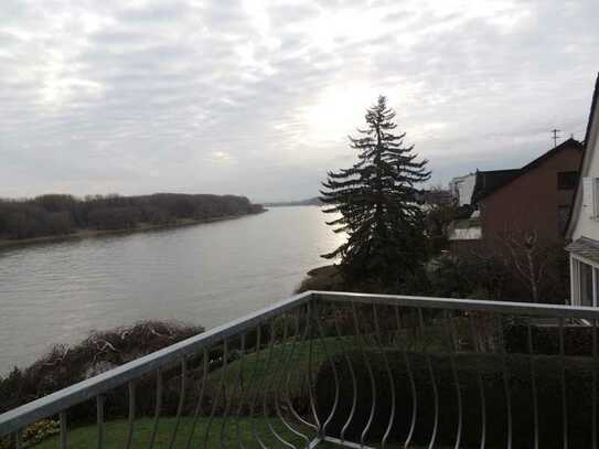 Wohnen direkt am Rhein