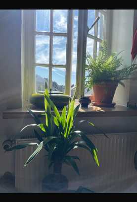 1-Zimmer-Nichtraucherwohnung an 1 Person mit EBK in Bonn Altstadt, Heerstraße