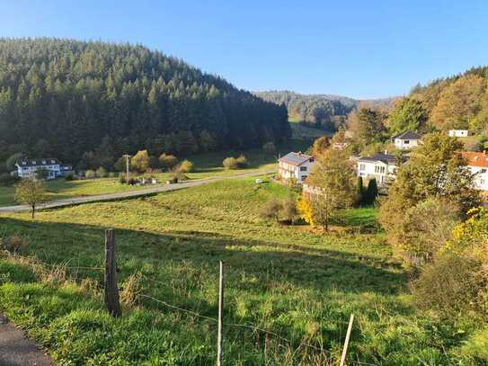 Baugrundstück mit wunderschöner Aussicht in Steingrund