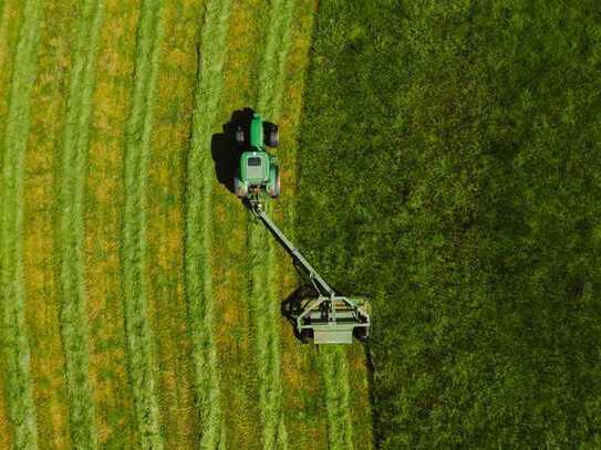 2,6 ha Grünland nahe Falkenfels (Straubing Bogen) zu verkaufen