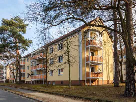 Babelsberg - 2,5-Zimmerwohnung mit Balkon und Grünblick, bezugs- und provisionsfrei