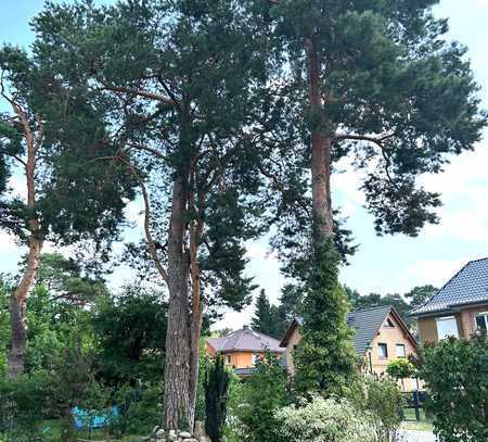 Wandlitz, großzügiges EFH mit 6 Zimmer in beliebter Wohngegend