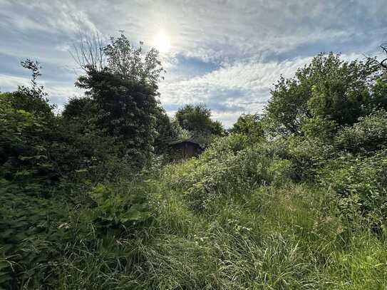 Einfamilienhaus im Dornröschenschlaf mit eigenem Biotop in Willinghusen