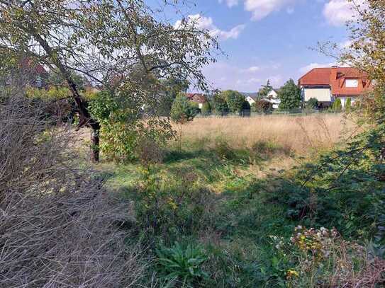 Großzügiges Ein- oder auch Mehrfamilienhaus mit Nebengebäuden in Augustdorf