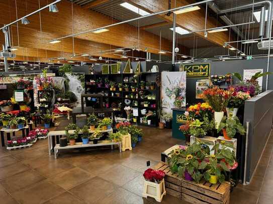 Mietfläche für Blumengeschäft im REWE Hilchenbach