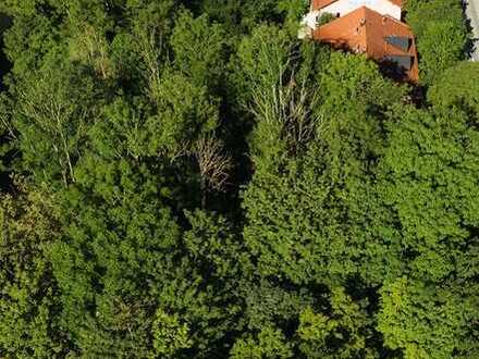 2.000 m² Traumgrundstück mit genehmigtem Bauvorbescheid