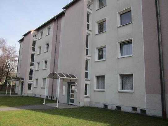 Renovierte Wohnung an berufstätigen Single-Haushalt abzugeben.