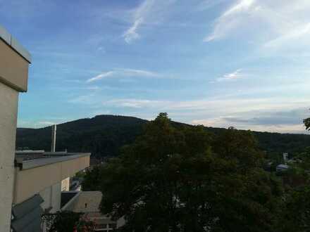 3-Zimmer-Wohnung mit wunderschöner Aussicht in Halbhöhenlage in Baden-Baden