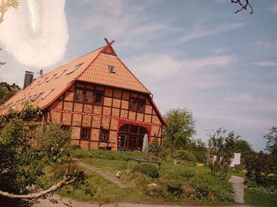 Lüneburger Heide, Göhrde großräumige Wohnung