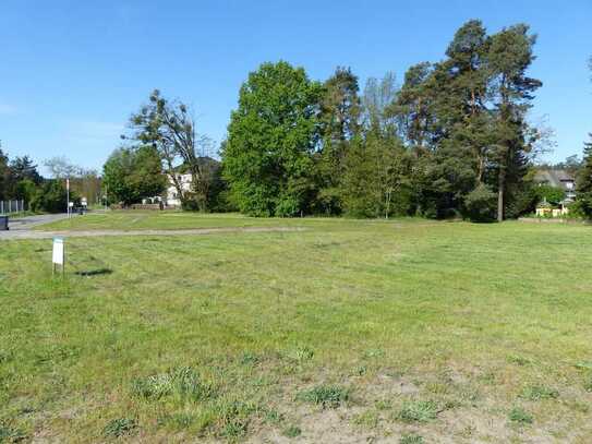 Grundstück im Herzen von Torgelow